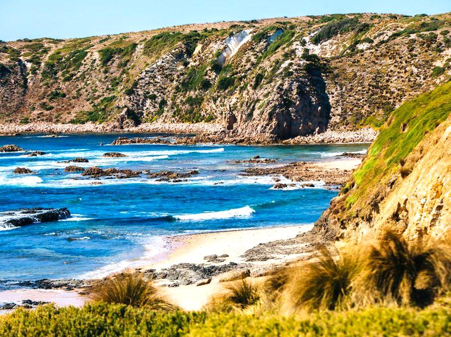 Stunning Drives: Discovering Phillip Island's Gorgeous Landscapes