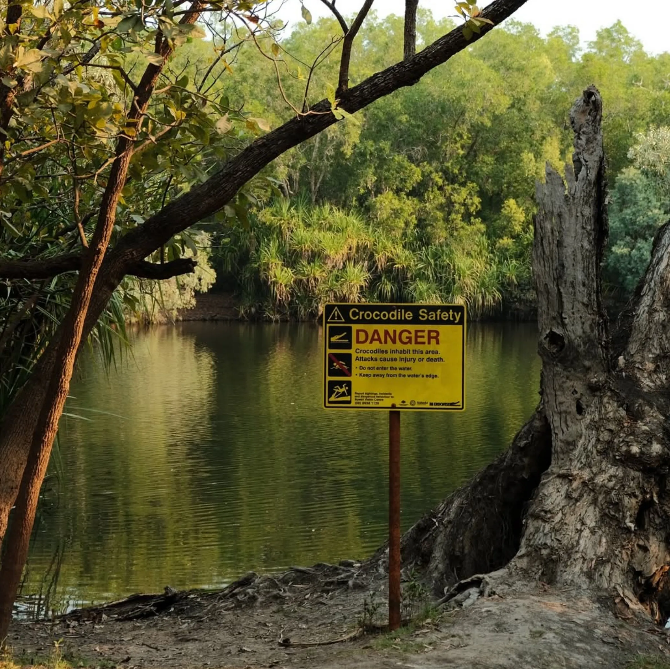travelling alone in Darwin Australia